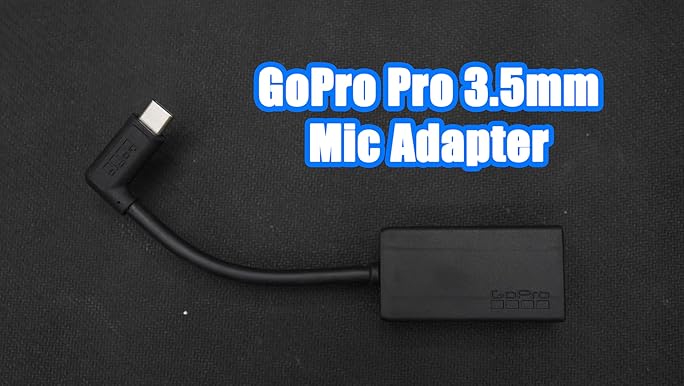 Amazon.com: GoPro Pro 3.5mm Mic Adapter for (All HERO